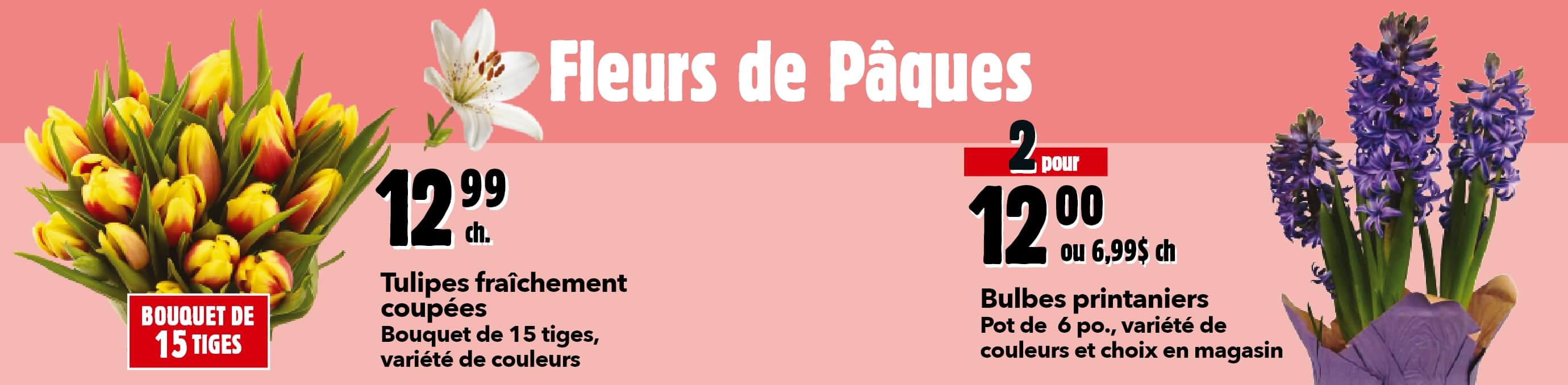 Fleurs de Pâques - Tulipes fraîchement coupées, Bouquet de 15 tiges, variété de couleurs, 12,99 ch. - Bulbes printaniers, Pot de6 po., variété de couleurs et choix en magasin, 2 pour 12,00 ou 6,99 ch.