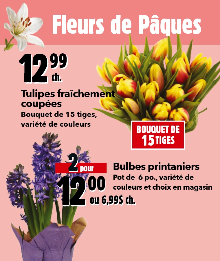 Fleurs de Pâques - Tulipes fraîchement coupées, Bouquet de 15 tiges, variété de couleurs, 12,99 ch. - Bulbes printaniers, Pot de 6 po., variété de couleurs et choix en magasin, 2 pour 12,00 ou 6,99 ch.