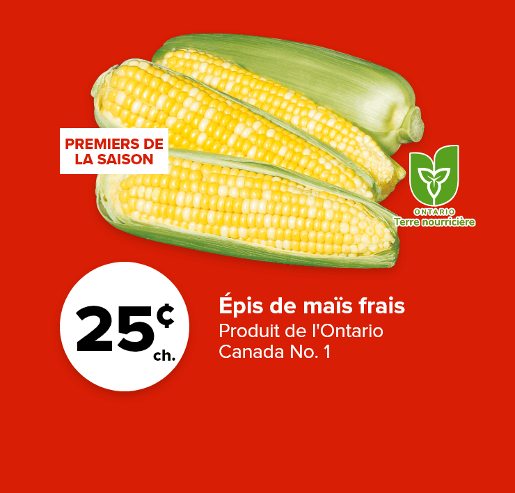 Épis de maïs frais. Produit de l'Ontario, Canada no 1