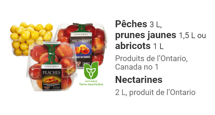 Pêches 3 L, prunes jaunes 1,5 L ou abricots 1 L. Produits de l’Ontario, Canada no 1. Nectarines 2 L, produit de l’Ontario.