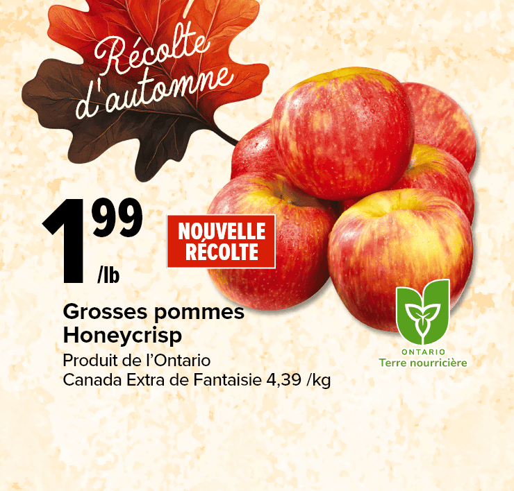 Grosses pommes Honeycrisp, produit de l'Ontario Canada Extra de Fantaisie.