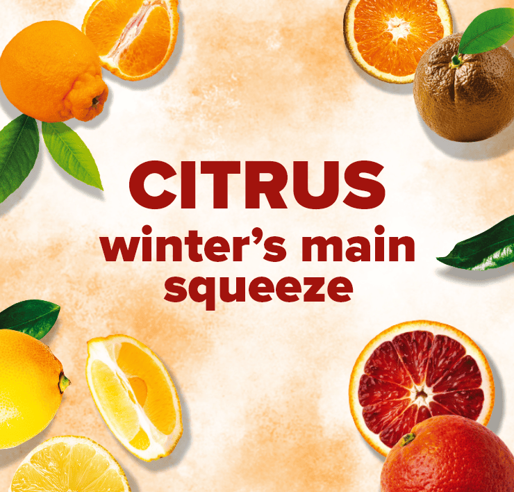 Citrus. Winter's Main Squeeze.