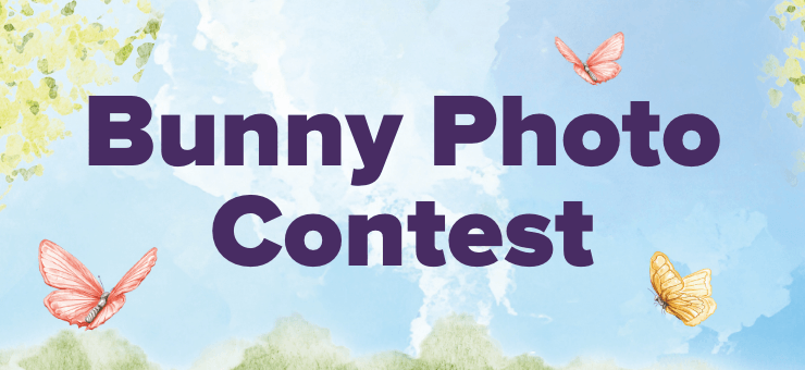 Bunny Photo Contest