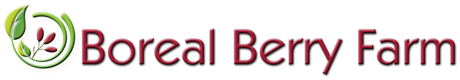 Boreal Berry Farm