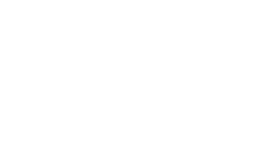  Taco Bell - Bring Home The Bell*