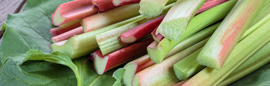 Buy Rhubarb, Fresh