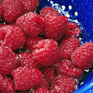 A Summer Obsession: Raspbberries
