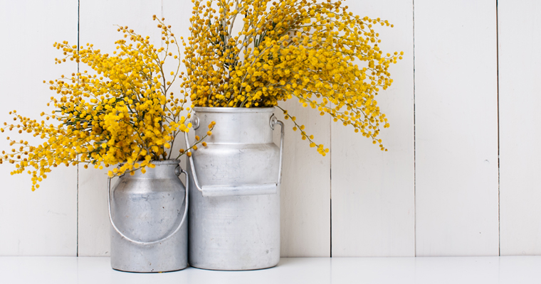 Up cycle rustic containers