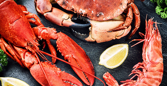 Savoureux festin de la mer