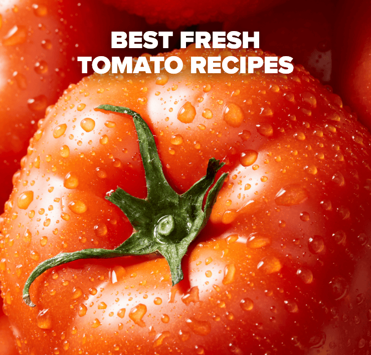 Best Fresh Tomato Recipes