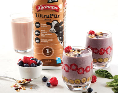 ChocoNut Berry Smoothie