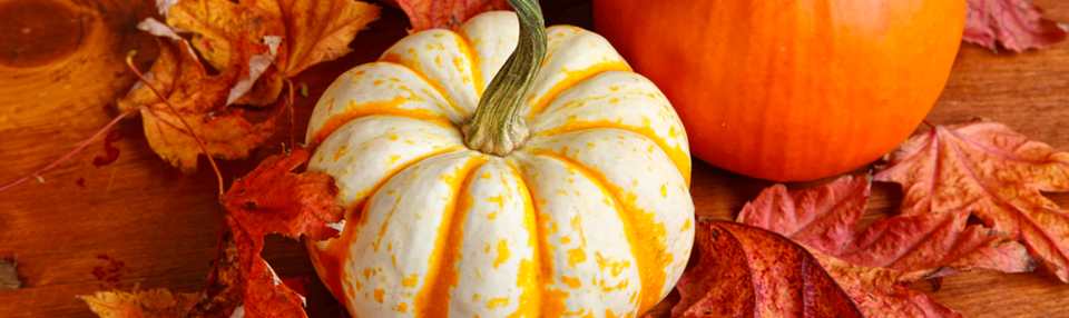 It's Halloween are you ready?