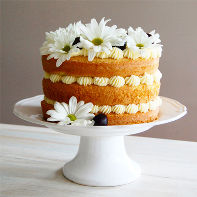 Gâteau à la vanille et aux cerises