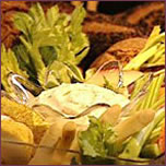 Bleubry Cheese Spread