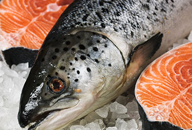 Conseils de mon poissonnier