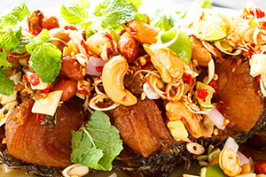 Découvrez l’exotisme !