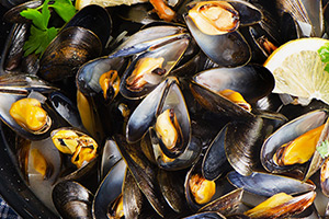 Blue Mussels