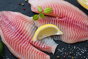 Tout sur le tilapia