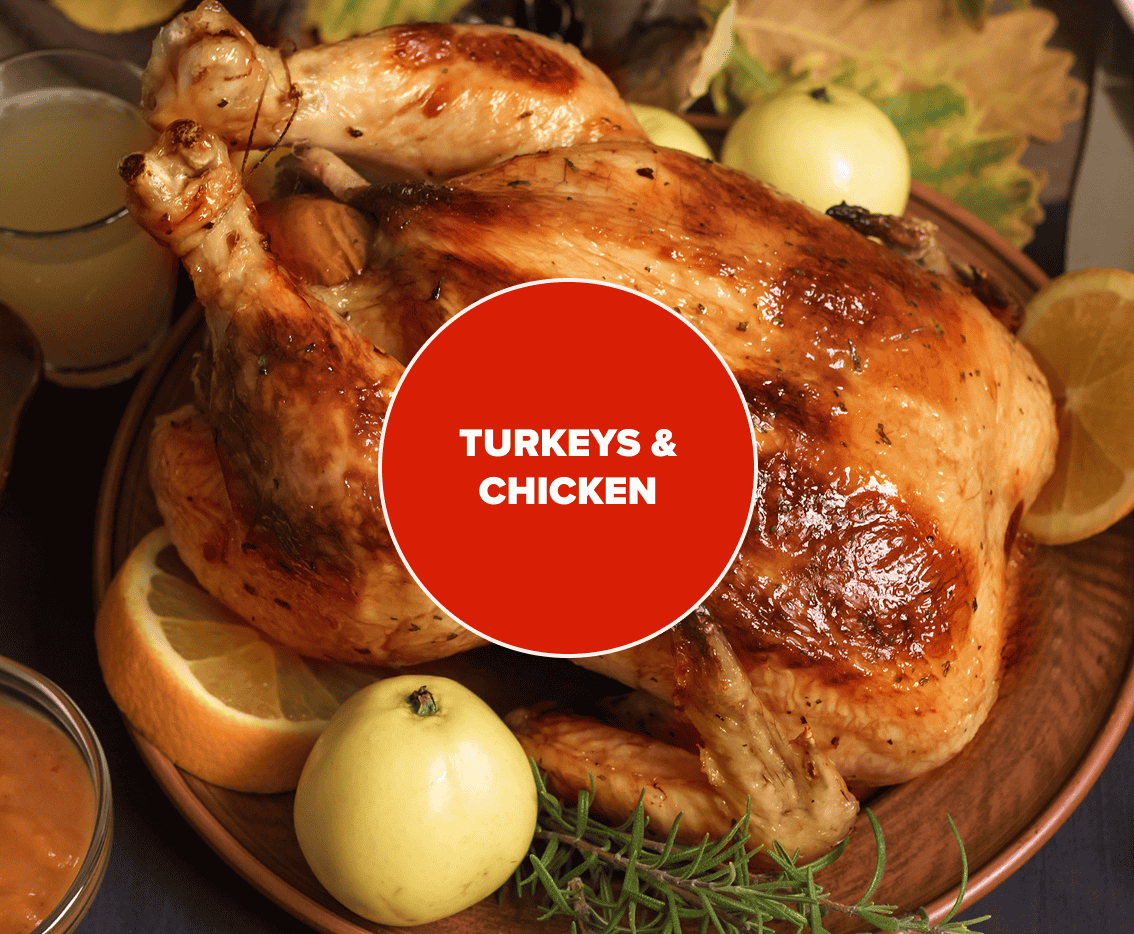 Turkeys-&-Chicken