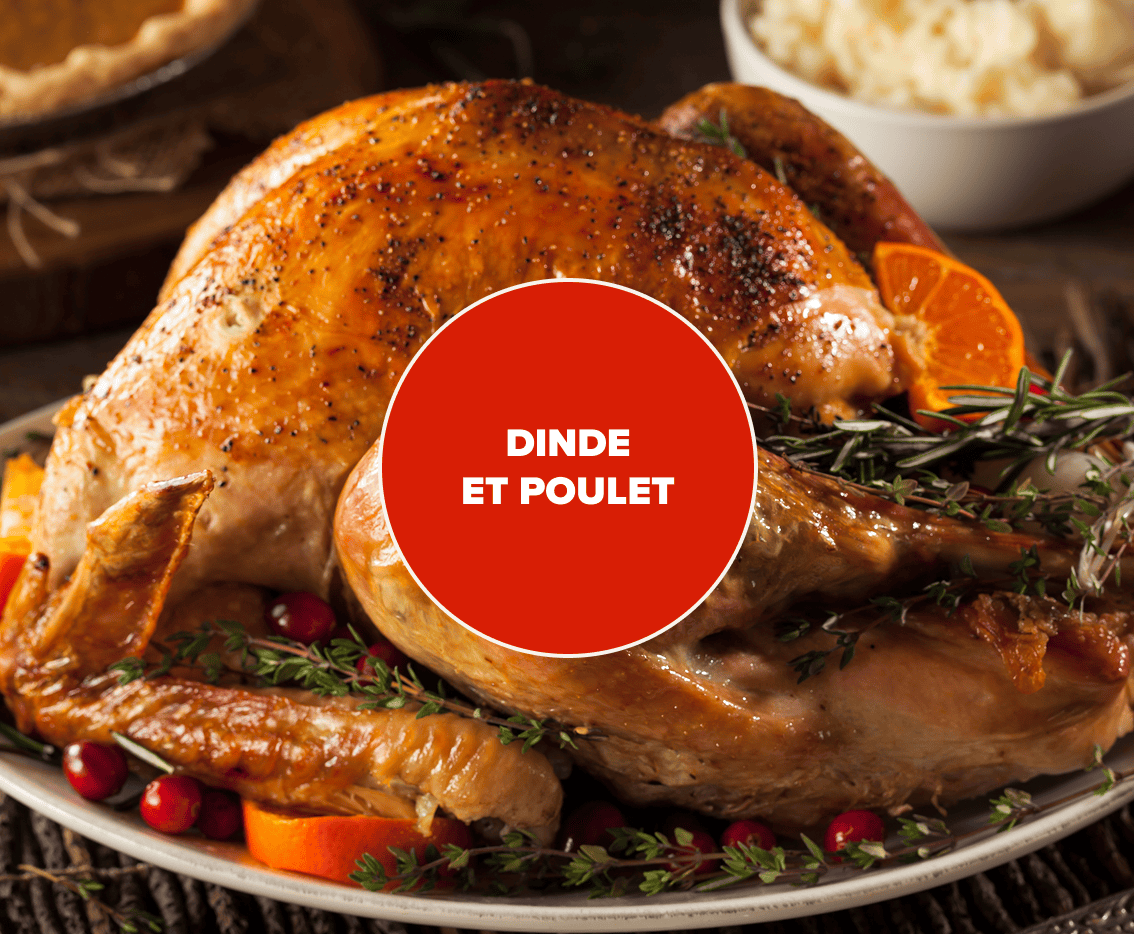 dinde-et-poulet
