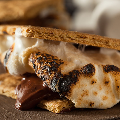 Honey Maid S'mores