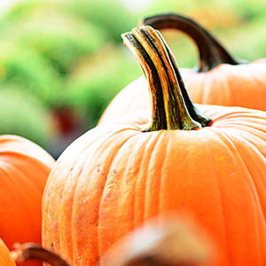 Pumpkin with veggies